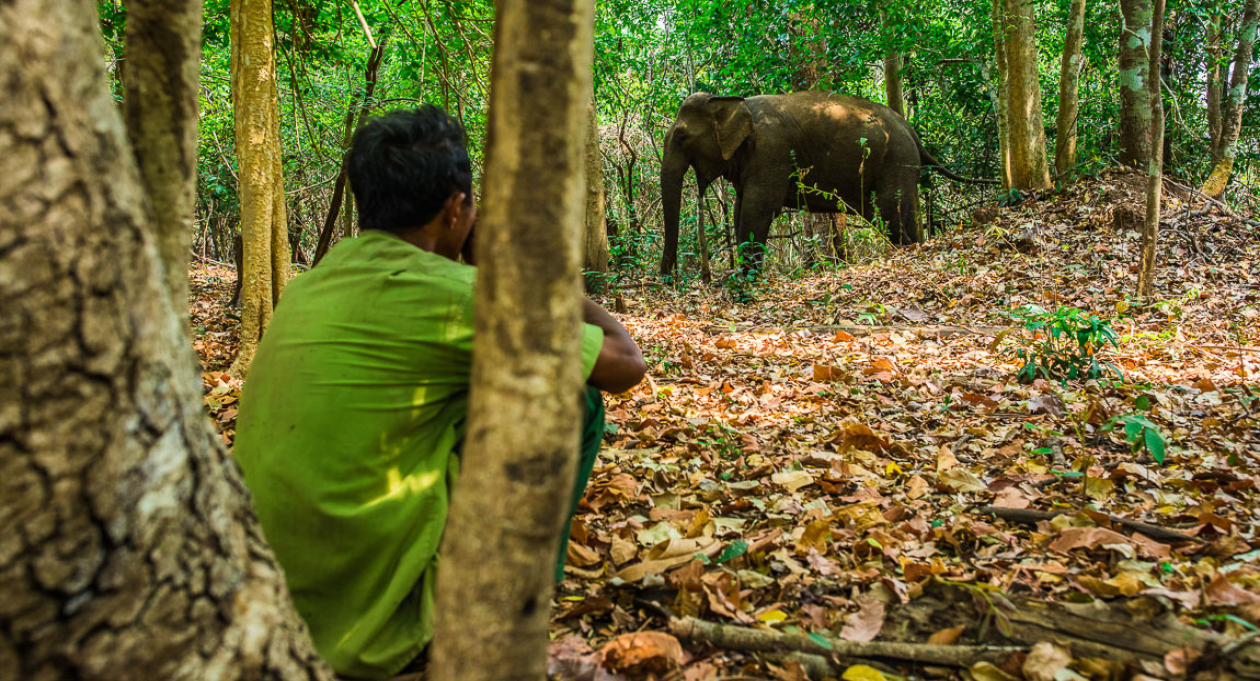 VIETNAM'S FIRST ETHICAL ELEPHANT EXPERIENCE 